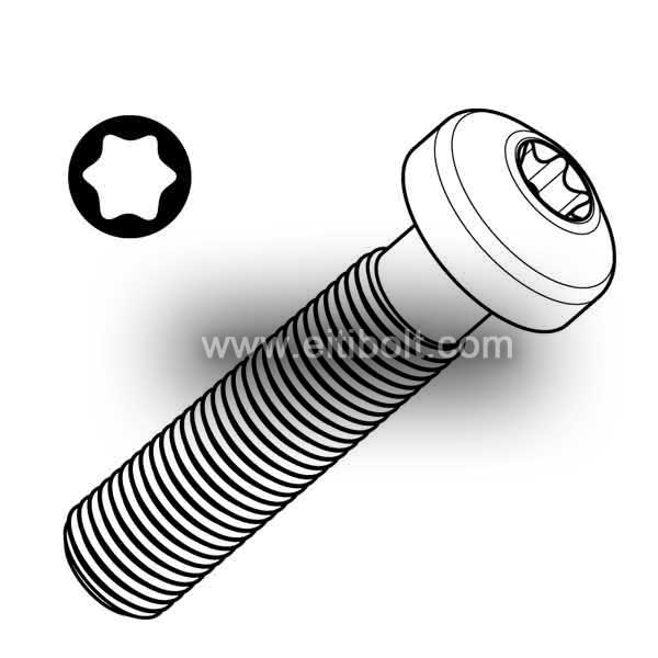 ISO14583 Hexlobular Socket Pan Head Screw